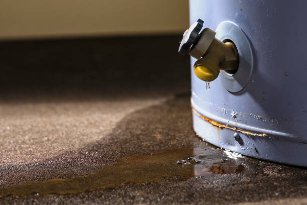 Best Basement water damage restoration  in Cave Spring, VA