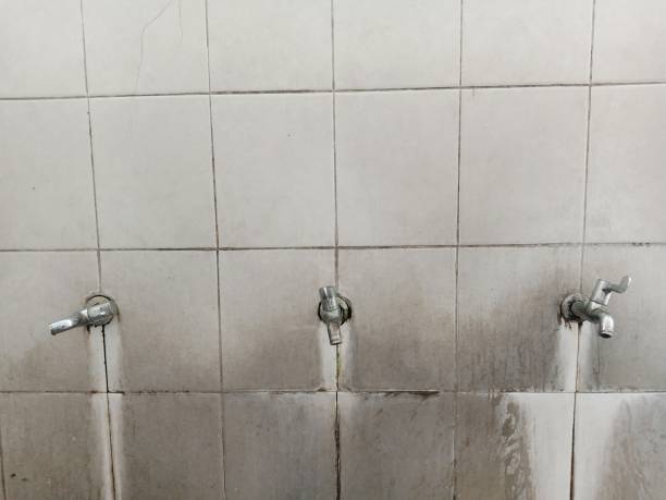 Best Local water damage restoration  in Cave Spring, VA