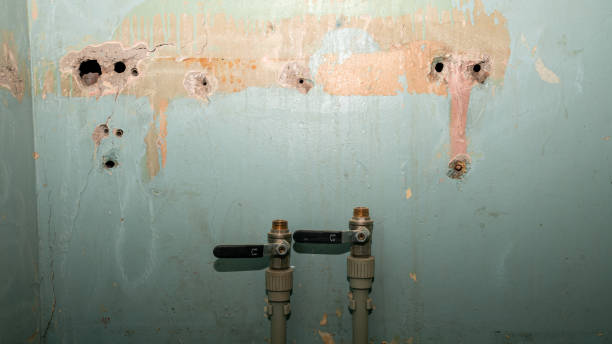 Best Flood restoration services  in Cave Spring, VA