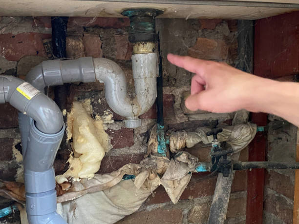 Best Local water damage restoration  in Cave Spring, VA