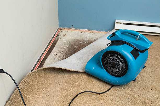 Best Flood damage cleanup  in Cave Spring, VA